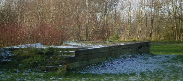 verpaupering Harlinger Bos en garageboxen 011