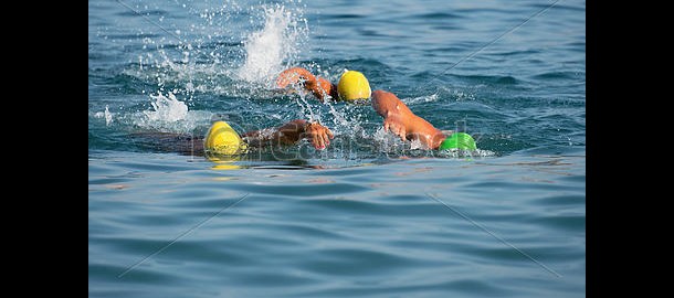 zwemmen-zwemmers-zee-plaatjes_csp40727882